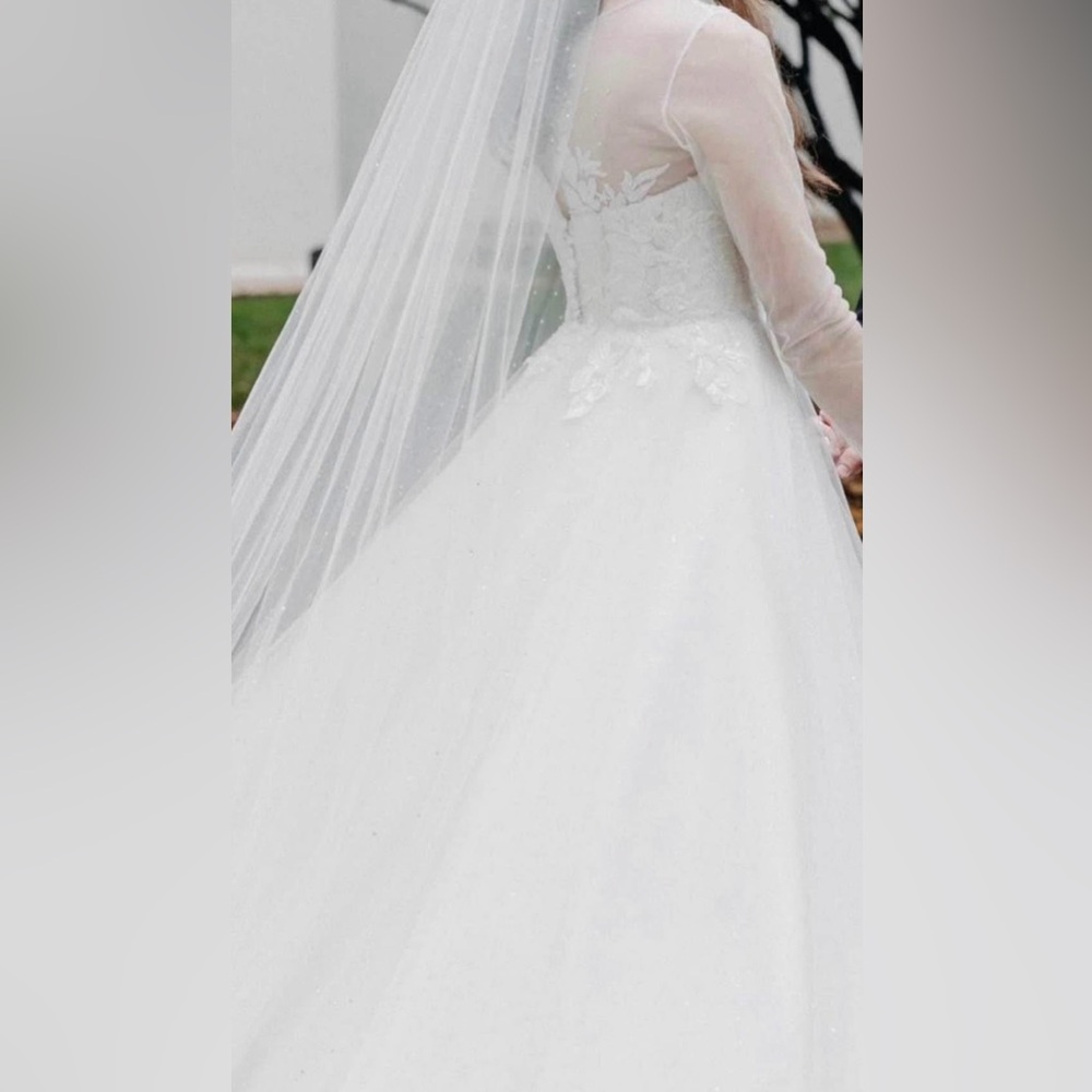 Wedding Dress - Picture 6 of 7